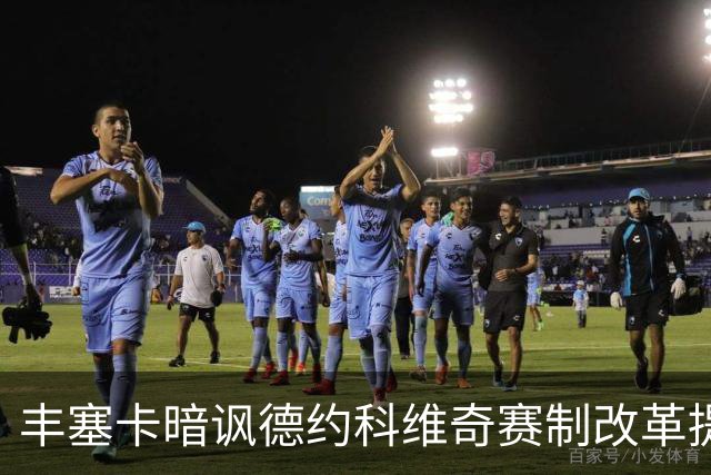 丰塞卡暗讽德约科维奇赛制改革提议：“他年纪大了！”