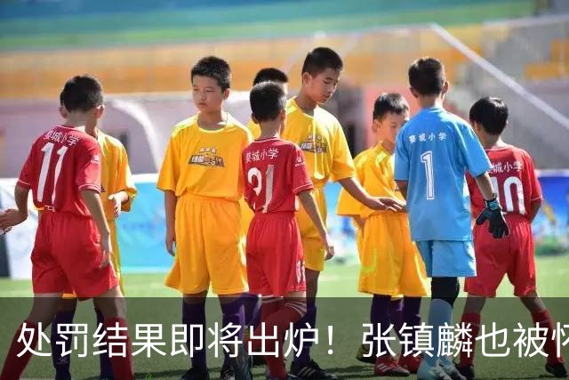处罚结果即将出炉！张镇麟也被怀疑，球迷呼吁应取消上海冠军