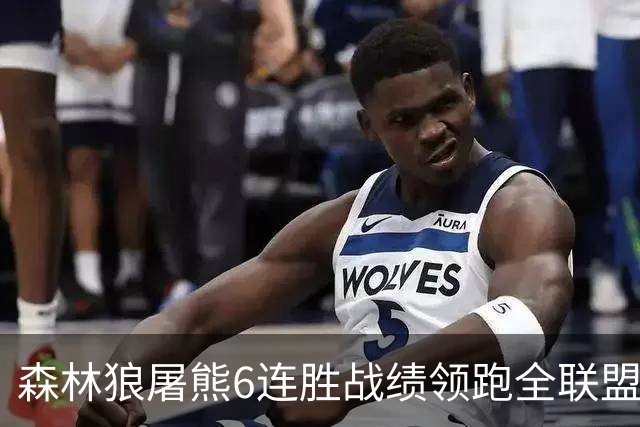 森林狼屠熊6连胜战绩领跑全联盟 骑士力克热火