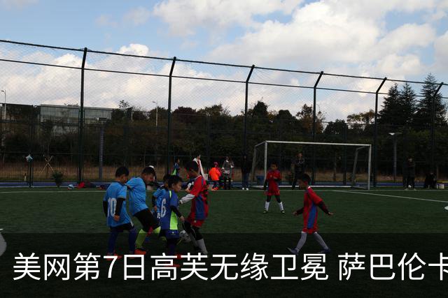 美网第7日高芙无缘卫冕 萨巴伦卡连续4年进八强